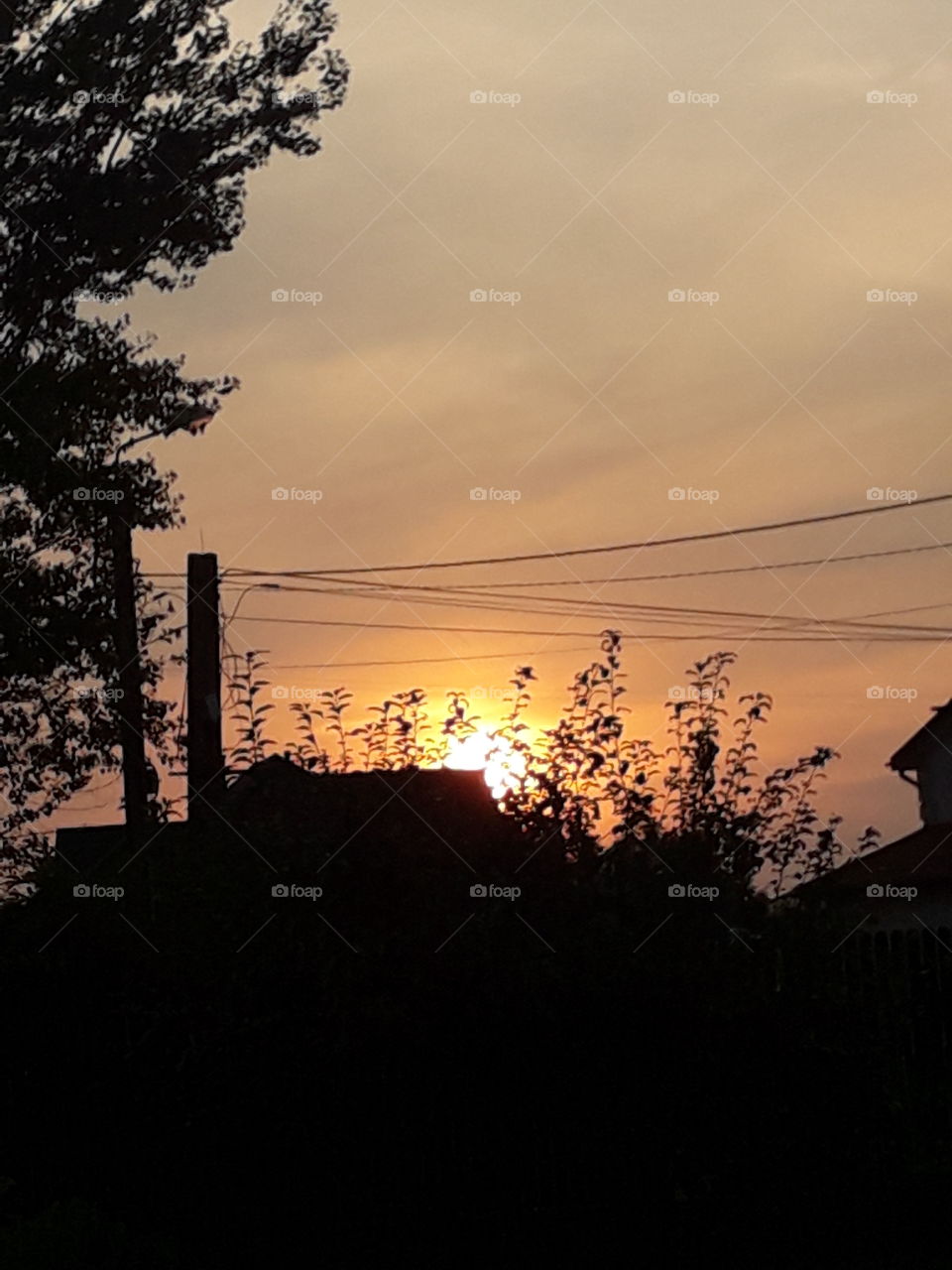 sunset in a village black silhouettes of a tree pols whires  and houses