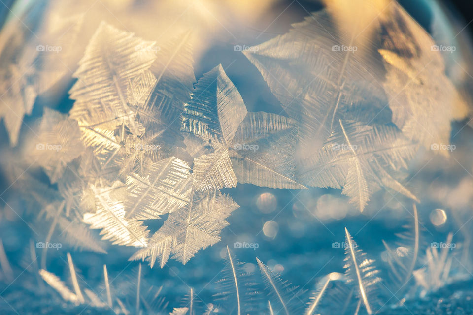 Closeup of frozen bubble