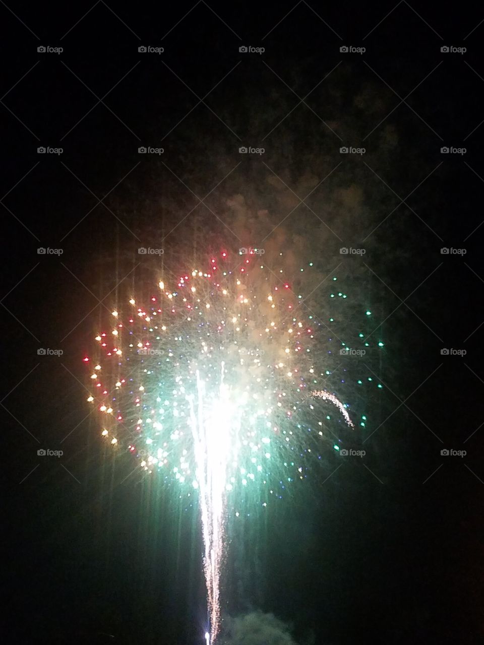 Firework on Independence Day in America