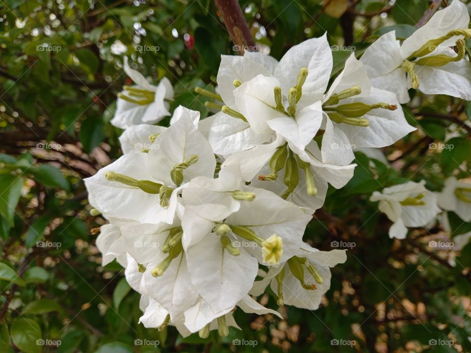 Trust who leave everything in God's hands will eventually see,God's hands in everything.Remember don't be the same be better.