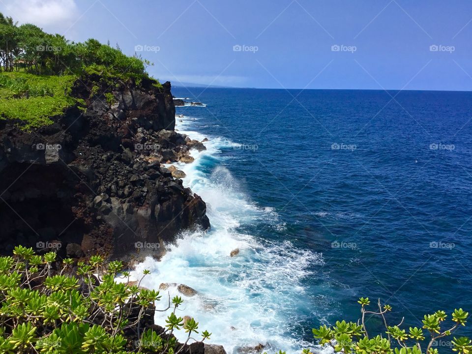 Sea cliffs and waves