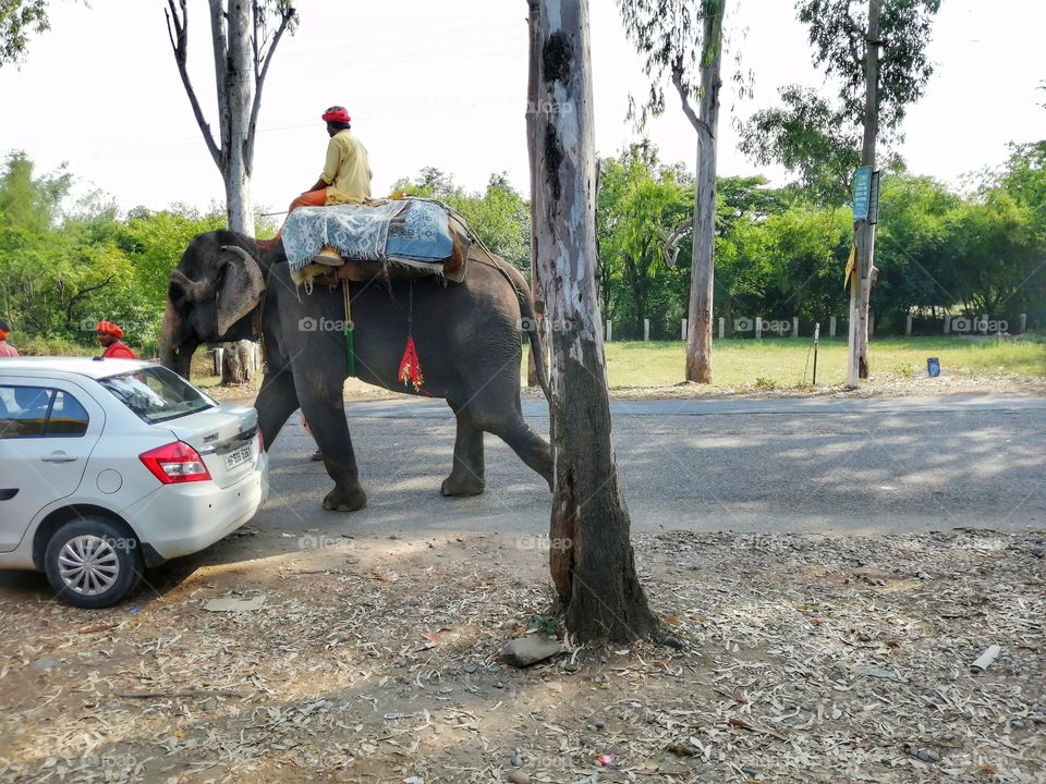 Morden and old Transport systemTogather on highway.
