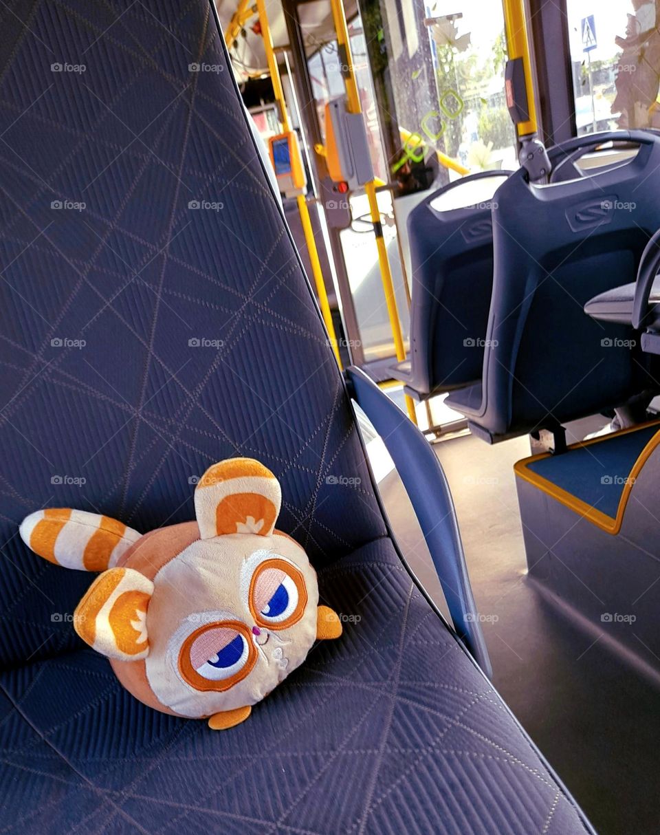 A plush toy sitting in a bus