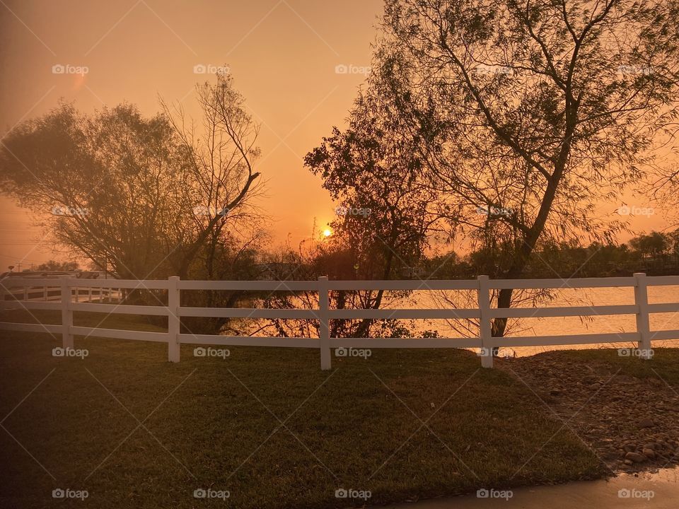 Colours Evening Sunset Lakeside Bed Trees losing Foliage gleaming with their gray figures