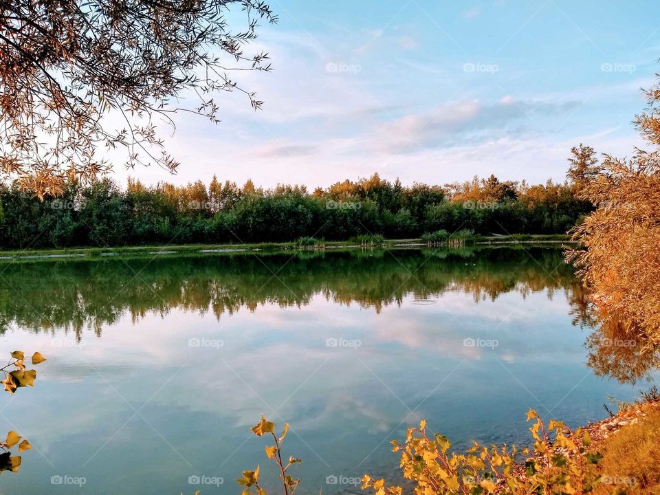 Ilava's pond