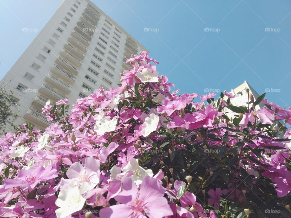 Pinheiros, Sao Paulo