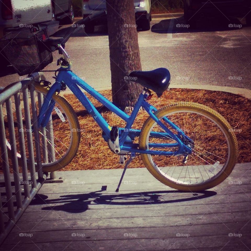 Blue Bike #8