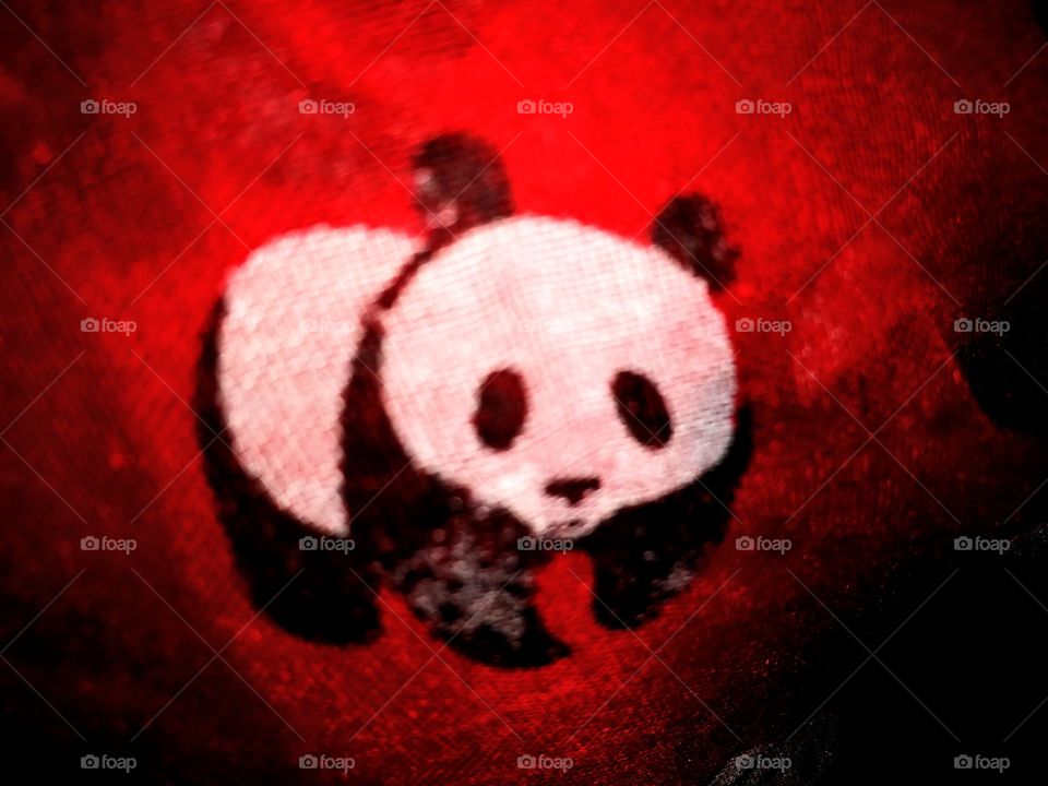 mi panda