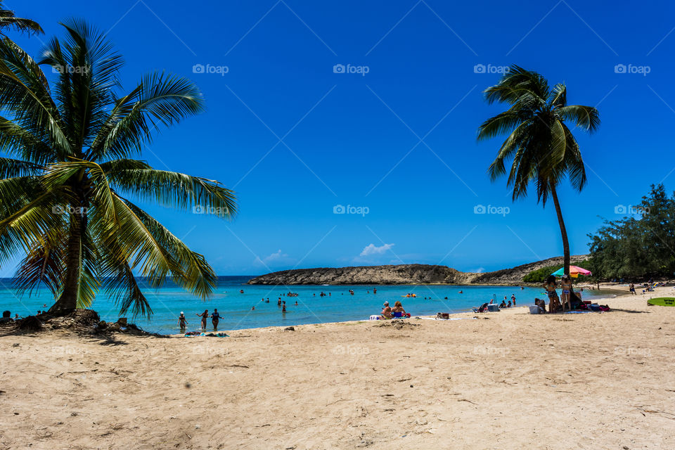 Jobos Beach Isabela PR