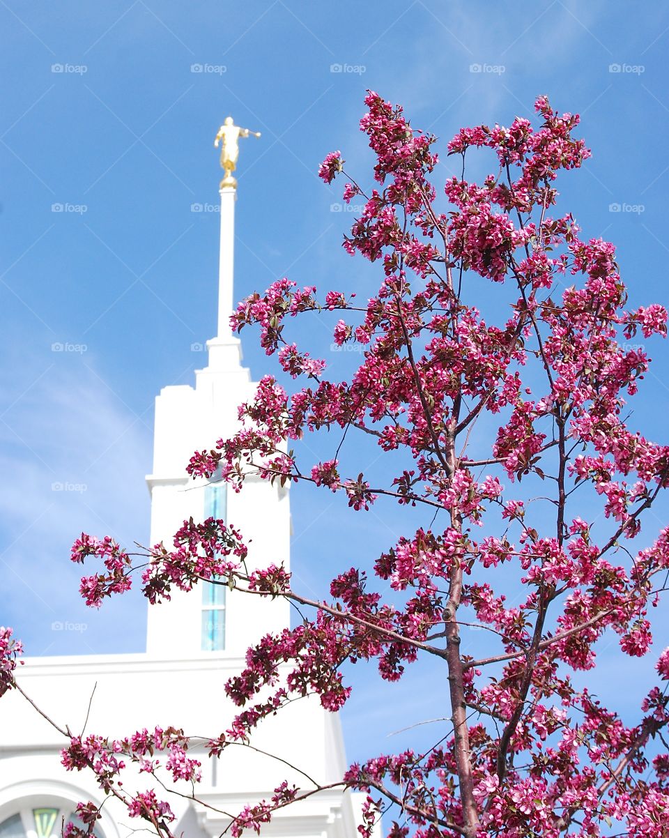 Spring at Mt. Timpanogos 