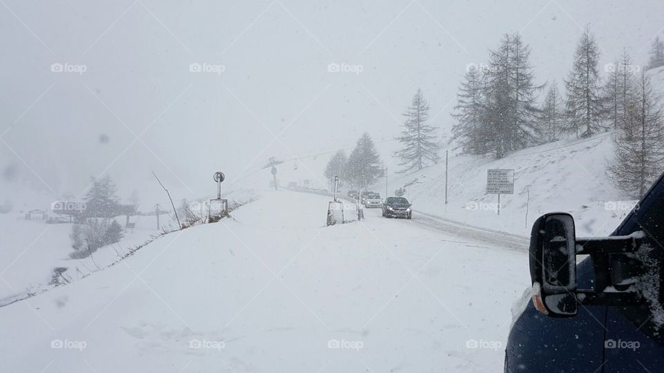 snowy white road
