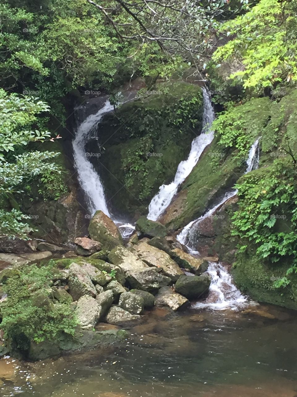 Merging waterfalls in shiratani unsuikyo in Yakushima