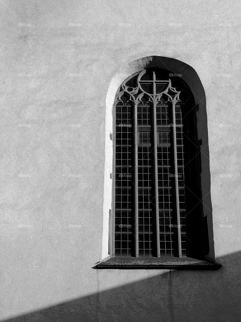 Window