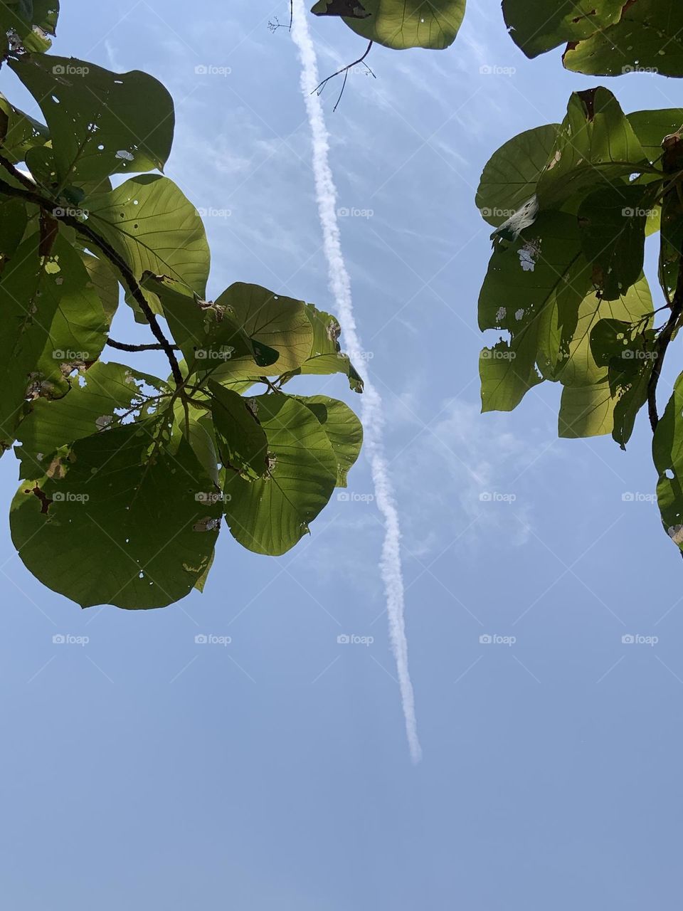 Editors ‘ choice : Photo of the week, Countryside.