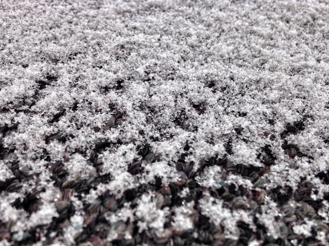 Snow
