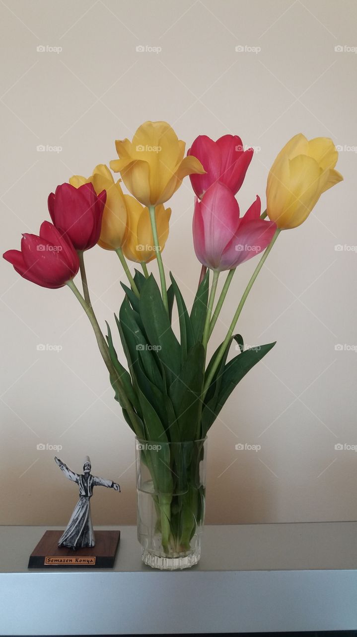 Semazen Mevlana and tulip