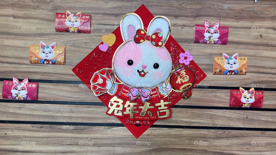 Rabbit wall decoration to celebrate the year of rabbit 