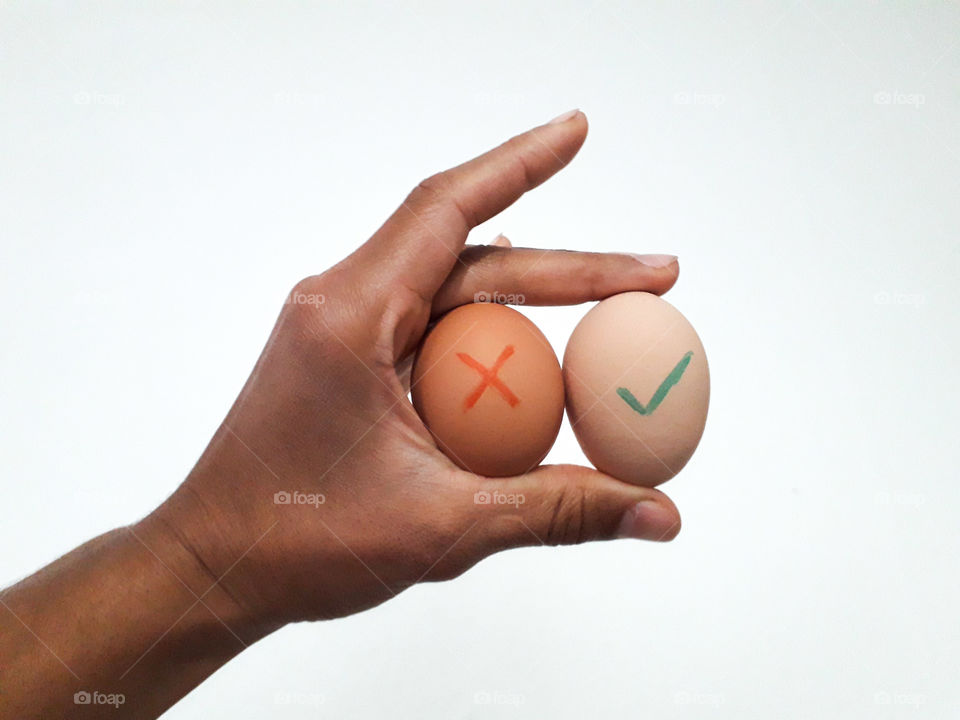 Why are the eggs oval-shapped ?