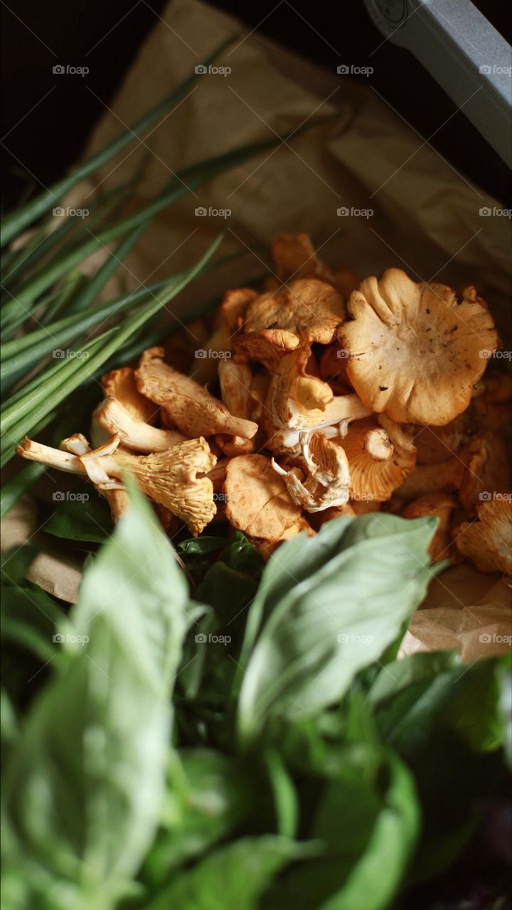contrast photo of green and yellow chanterelle mushrooms before cooking