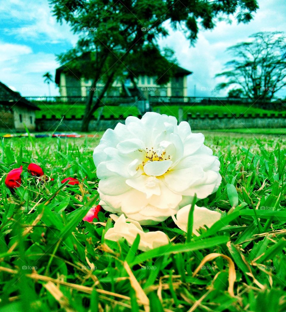 Nature is Beautiful 😁😁😁