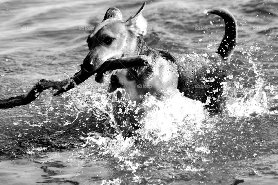 playing in water