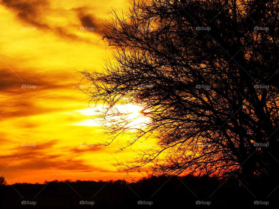 Sunset in the country 