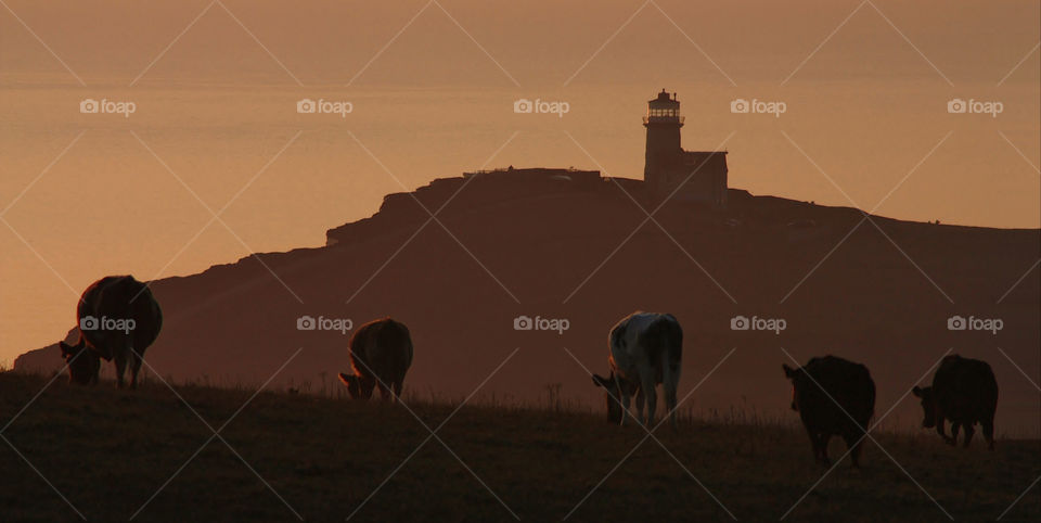 Belle tout sunset