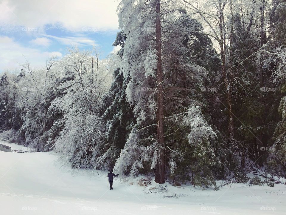A child walks through a snow and ice coated forest, blue sky and clouds overhead.