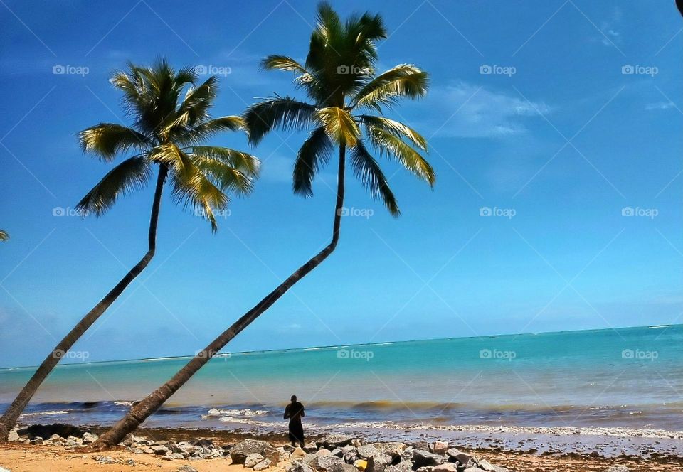 Ponta Verde beach, Maceio-Alagoas -Brazil