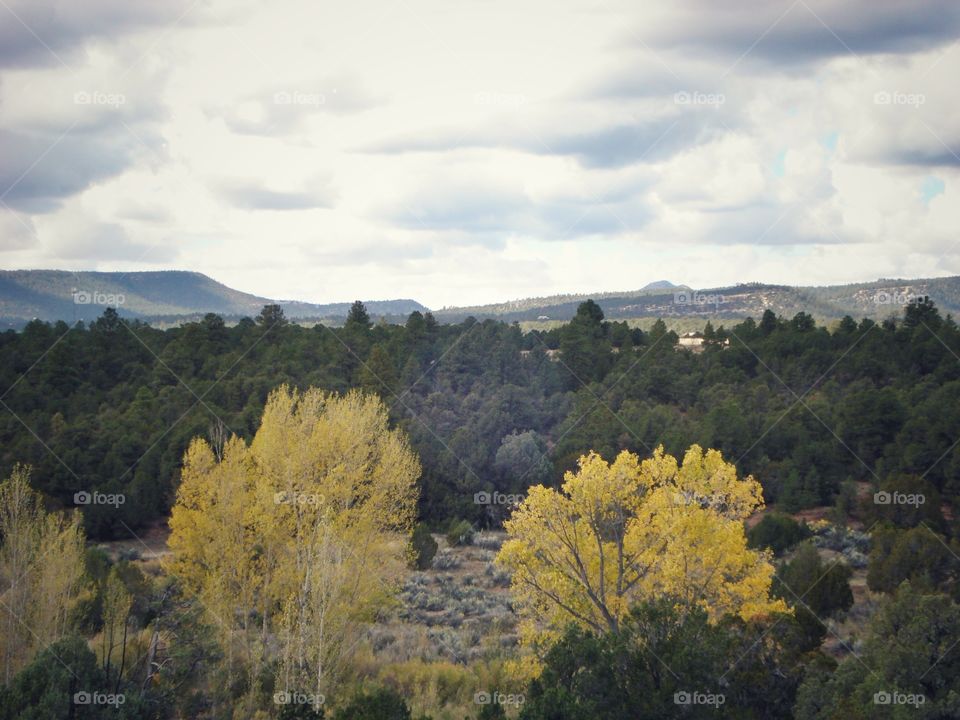 Landscape of the Pecos forest and valley in New Mexico 