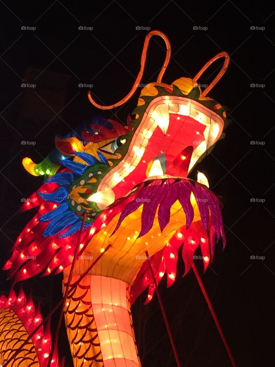 Chinese lantern festival Dragon
