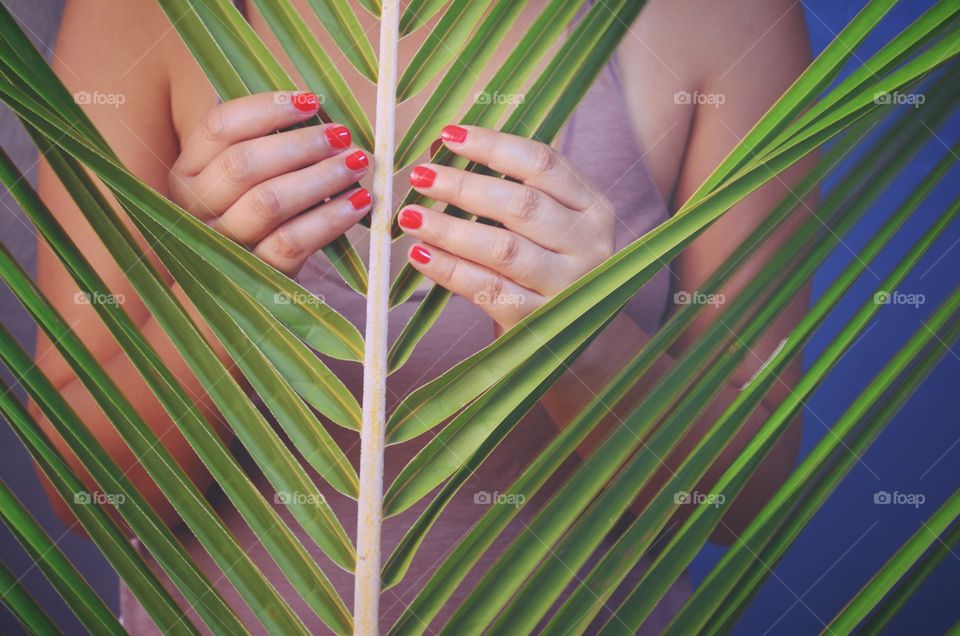 Tropical palm leaf