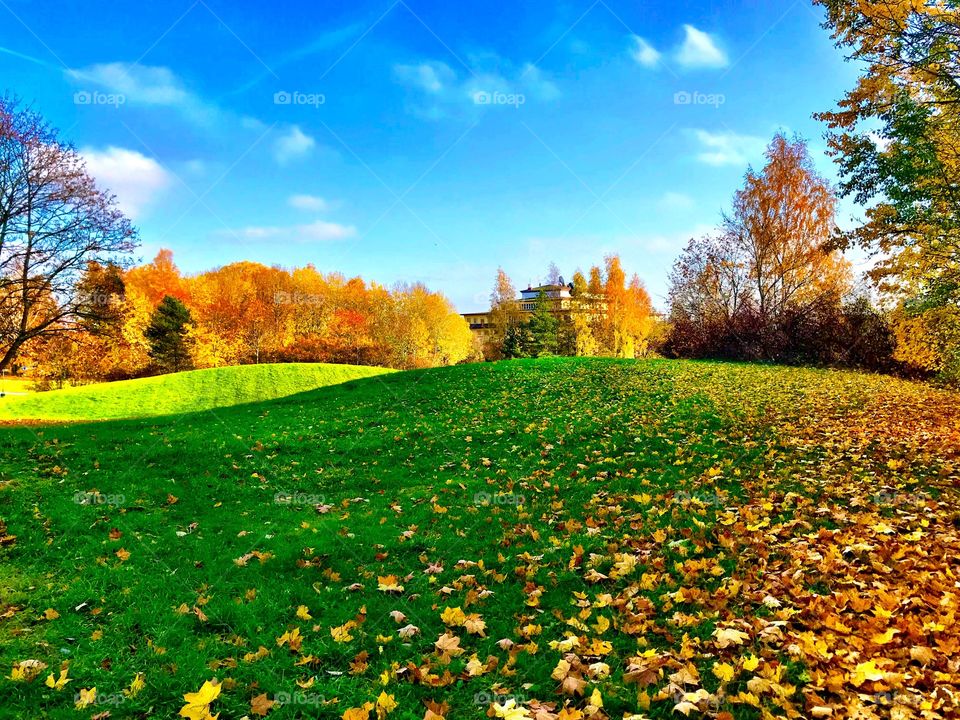 Autumn in its splendour 