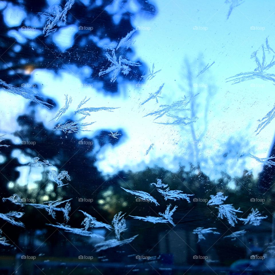 A frosty view!
Frosty flowers playing on my windshield in the early morning.