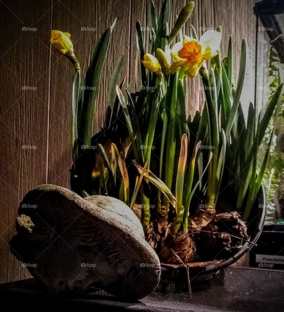 Life from broken things