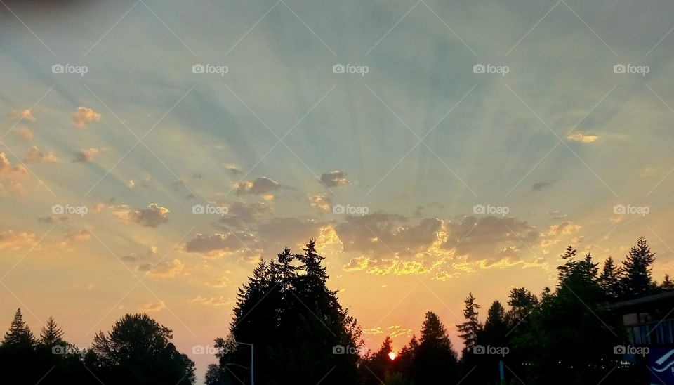 A majestic sight of shadowed trees with a vibrant pink sunset slipping into the horizon with sun rays beaming through white and gray clouds.