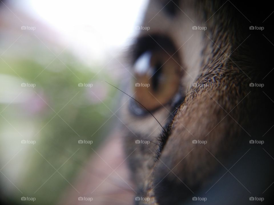 Picture taken with my smartphone and macro lens.