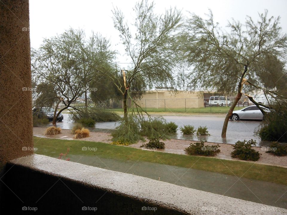 Rain damage Phoenix AZ
