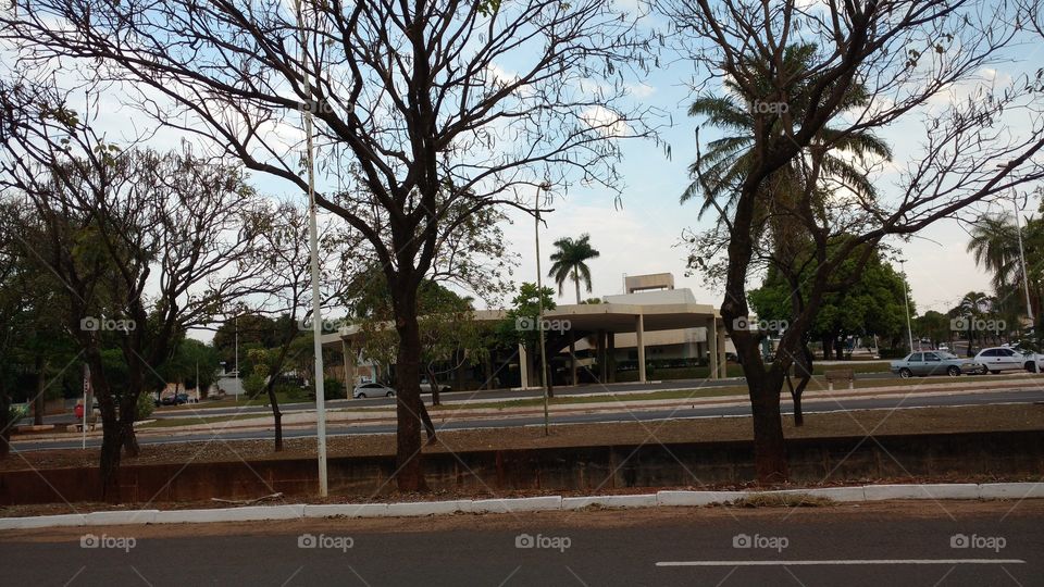 Paisagem na rua.