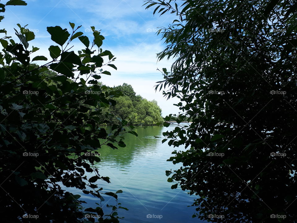 Shade And Water