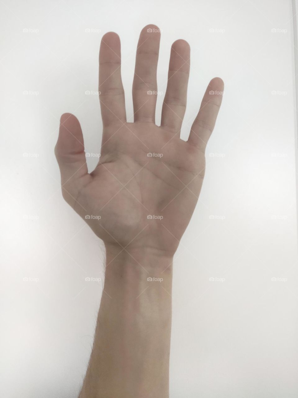 man palm white background