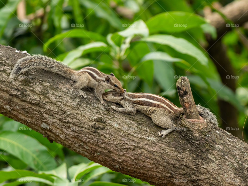 Caring For Mom