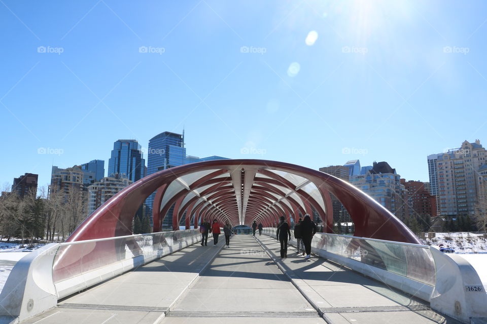 Peace Bridge - Calgary, AB, Canada