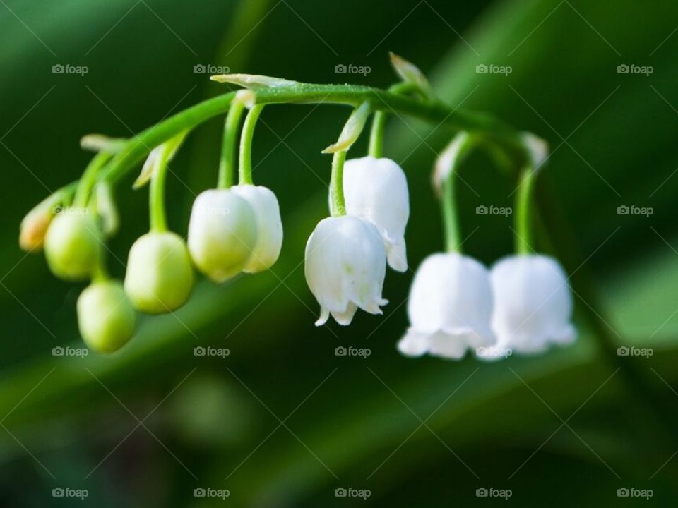 Красота Сибири