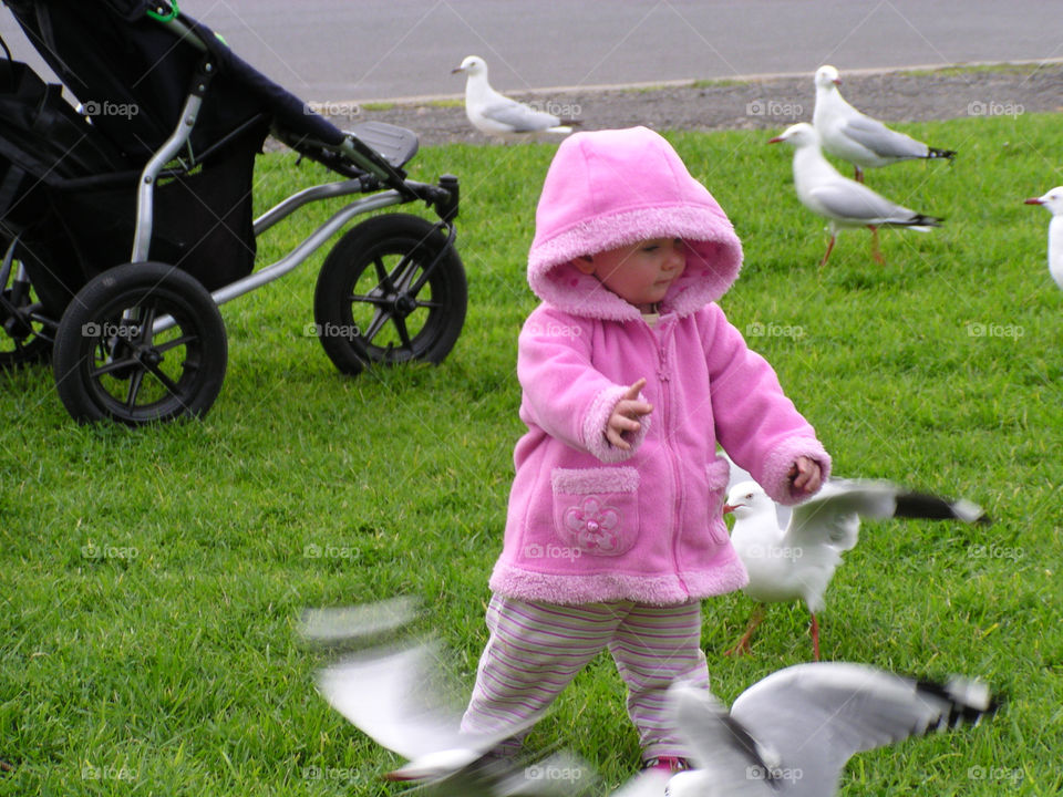 Toddler chasing seagulls