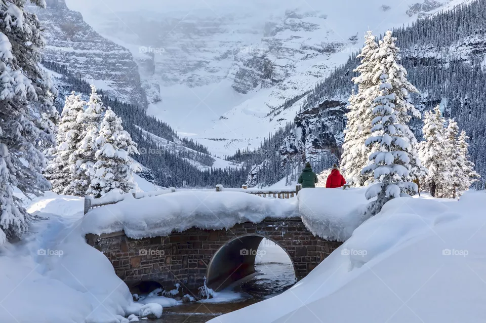 Paisaje de nieve