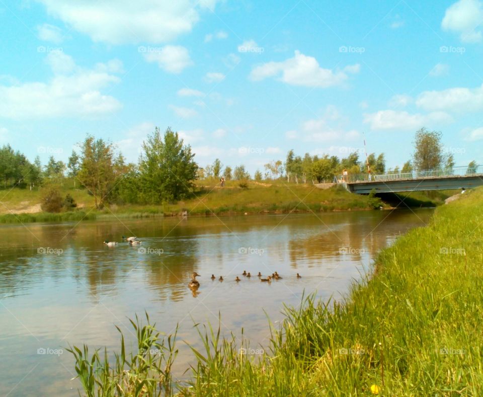 Water, River, Lake, Nature, Landscape