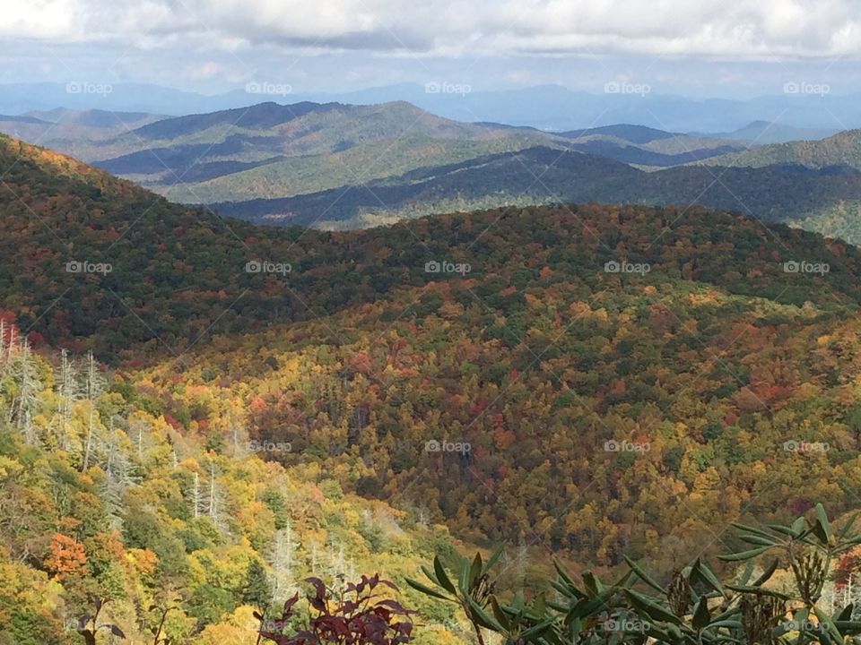 No Person, Mountain, Landscape, Nature, Fall
