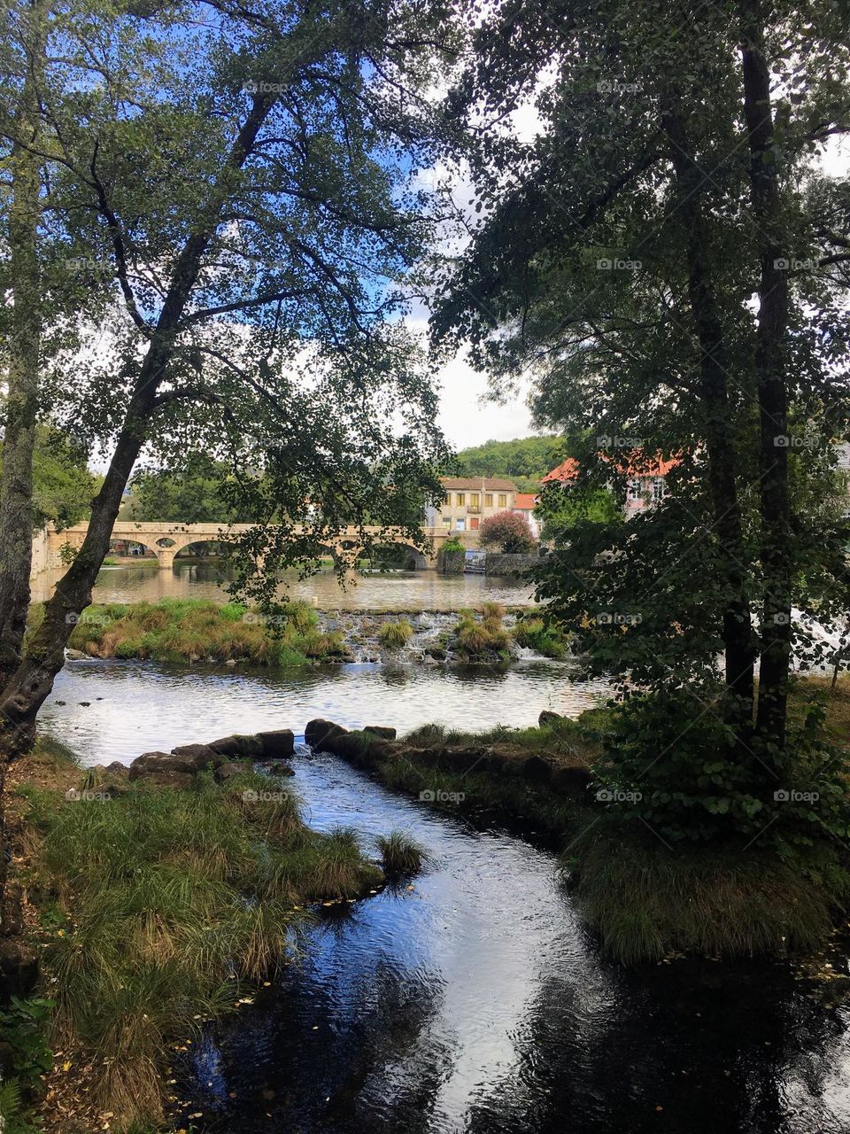 Tree and Portugal view