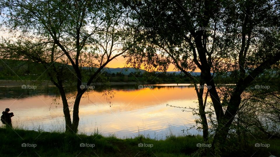 Landscape, Tree, Dawn, Nature, Water